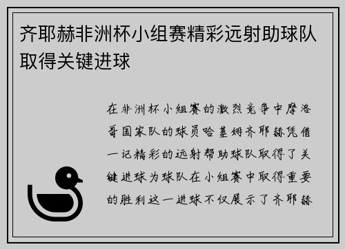 齐耶赫非洲杯小组赛精彩远射助球队取得关键进球